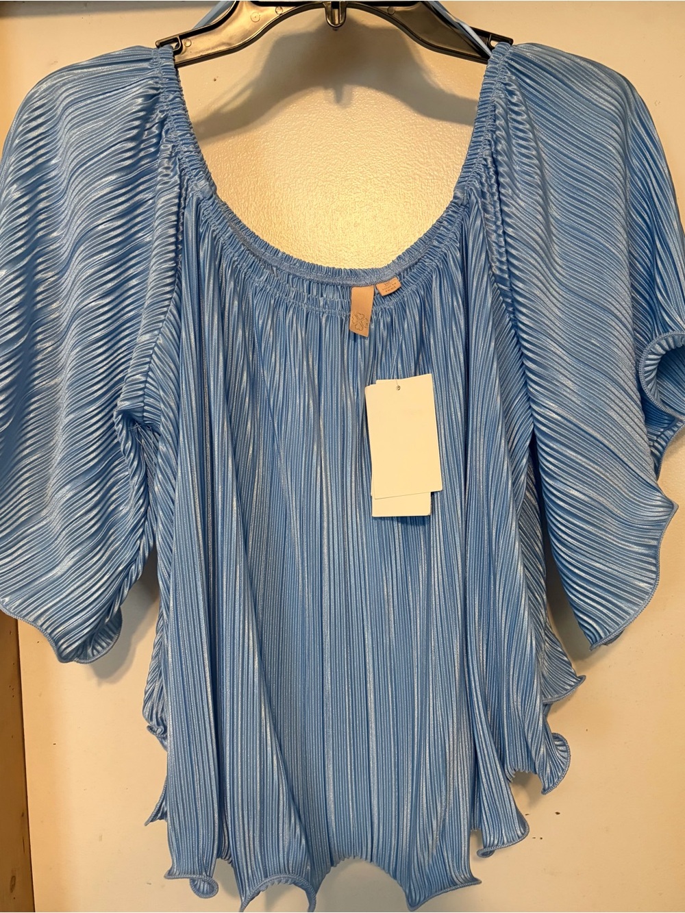 Honey & Sparkle- Light Blue Pleated Peasant Top